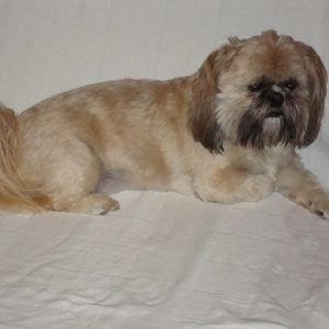 Meet your Posher, Donny